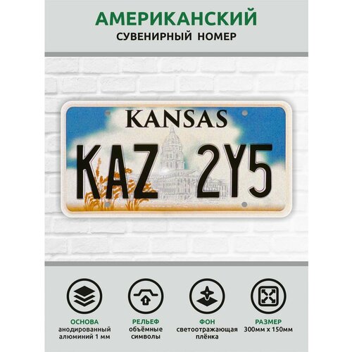 Сувенирный автомобильный номер Америка Япония