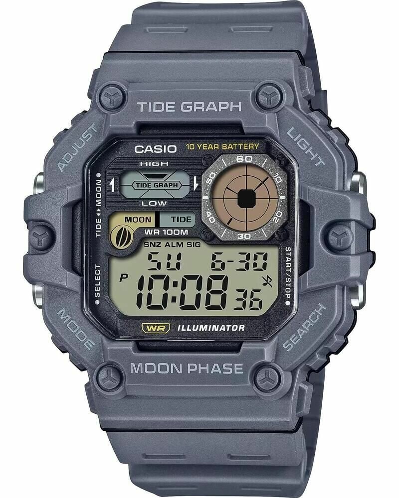 Наручные часы CASIO WS-1700H-8A