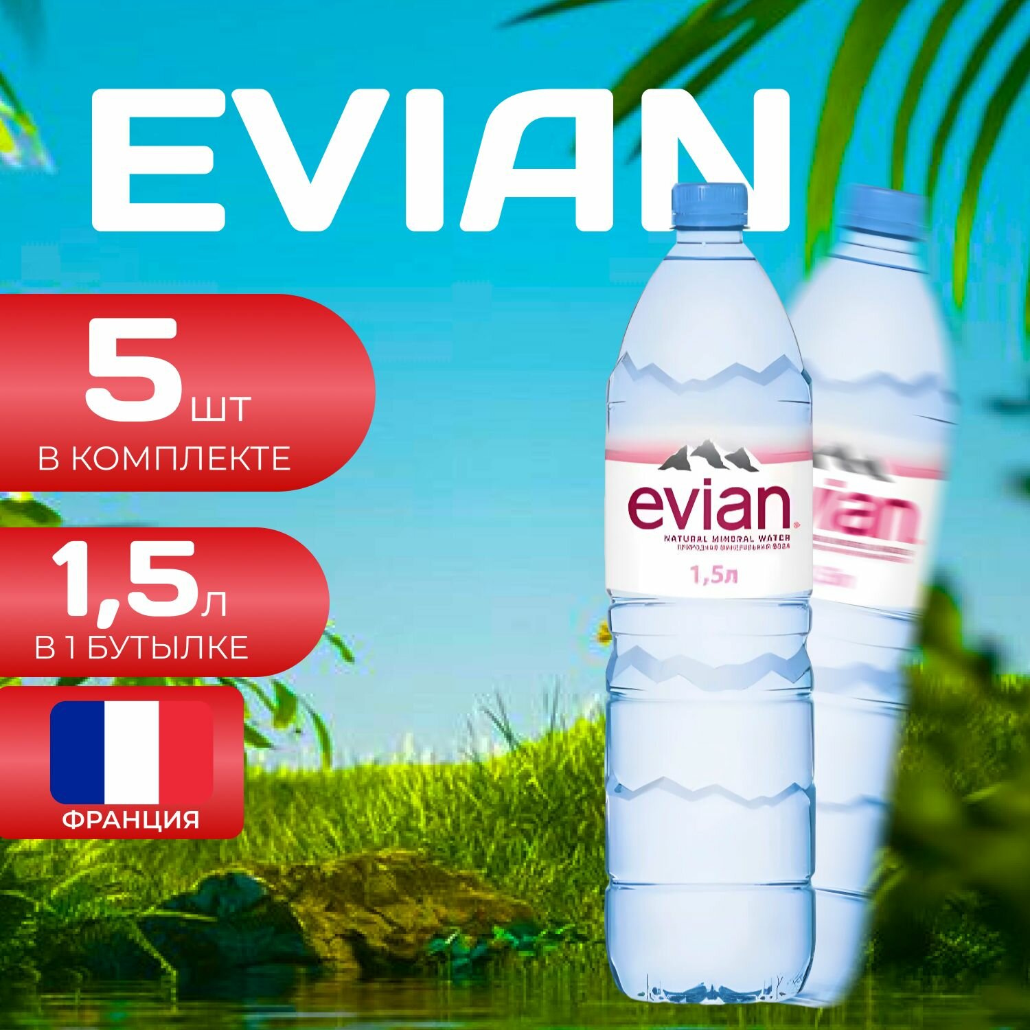 Evian Вода без газа ПЭТ 1.5л. (6 шт.) Эвиан