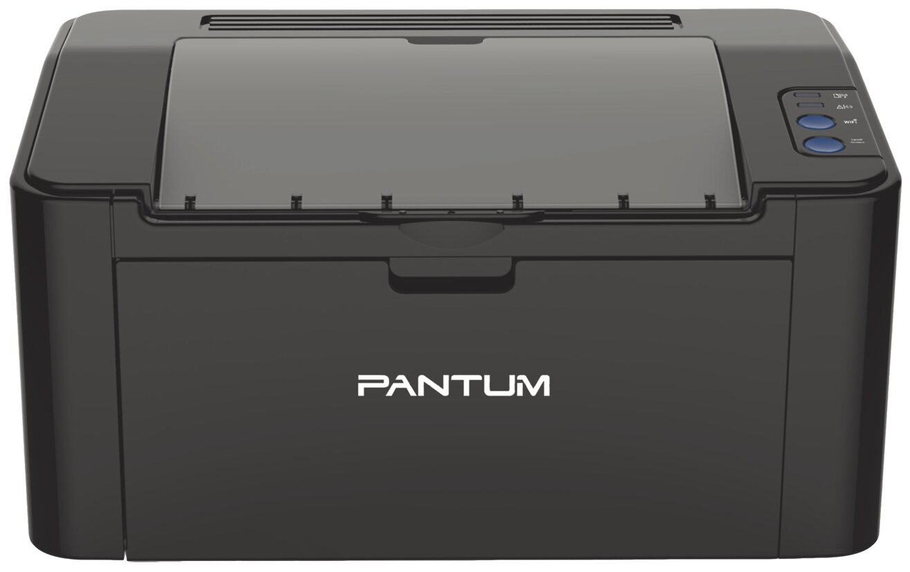 Принтер лазерный Pantum P2207, ч/б, A4, черный