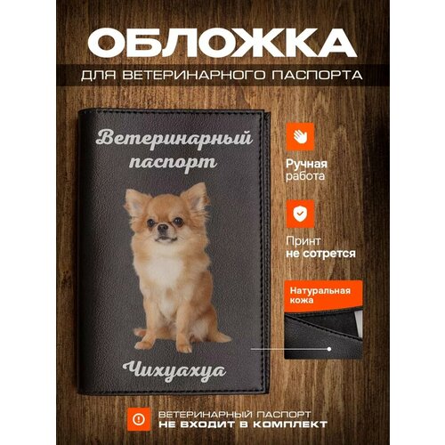 Обложка на ветеринарный паспорт для собак с принтом Чихуахуа