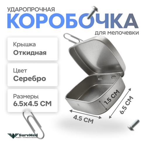 Ударопрочная коробочка для мелочевки с откидной крышкой (65х45х15 мм) серебряная