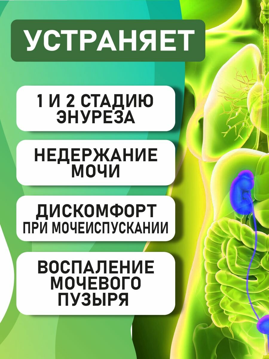 Картинки Энурез от недержания мочи у женщин и цистита у детей, 100 капсул