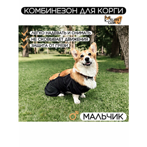 Комбинезон для корги мальчика Fluffy Clan