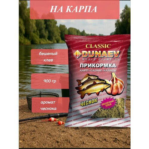Прикормка 