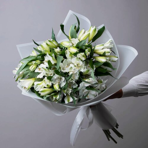 Изображение товара Букет Альстромерия "Белая" 35 шт Высота 80 см в коробке и аквабоксе от "Простоцветы"