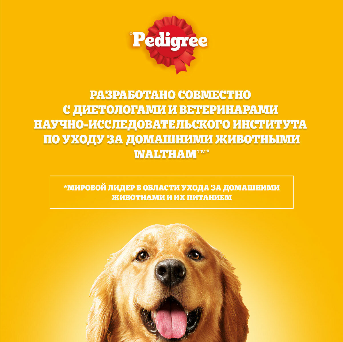 Полнорационный сухой корм для взрослых собак всех пород Pedigree Vital Protection с говядиной, 2.2 кг - фото №4