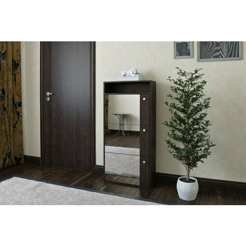 Обувница 2 55х29х110 венге цаво, зеркало