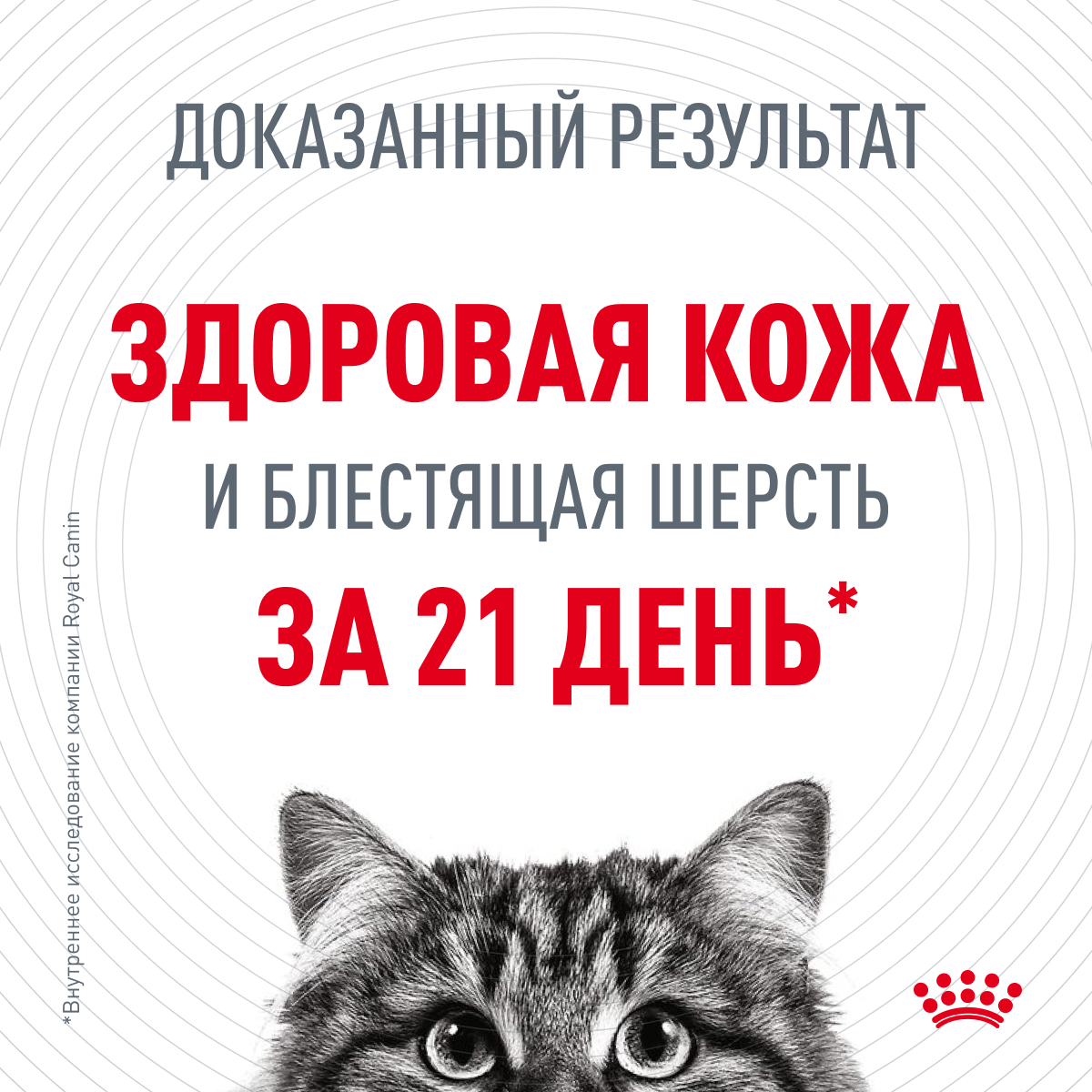 Корм для кошек ROYAL CANIN - фото №4