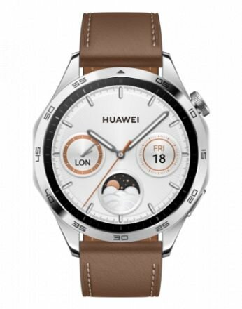 Смарт-часы HUAWEI WATCH GT 4 46mm PNX-B19 (55020BGX) Brown