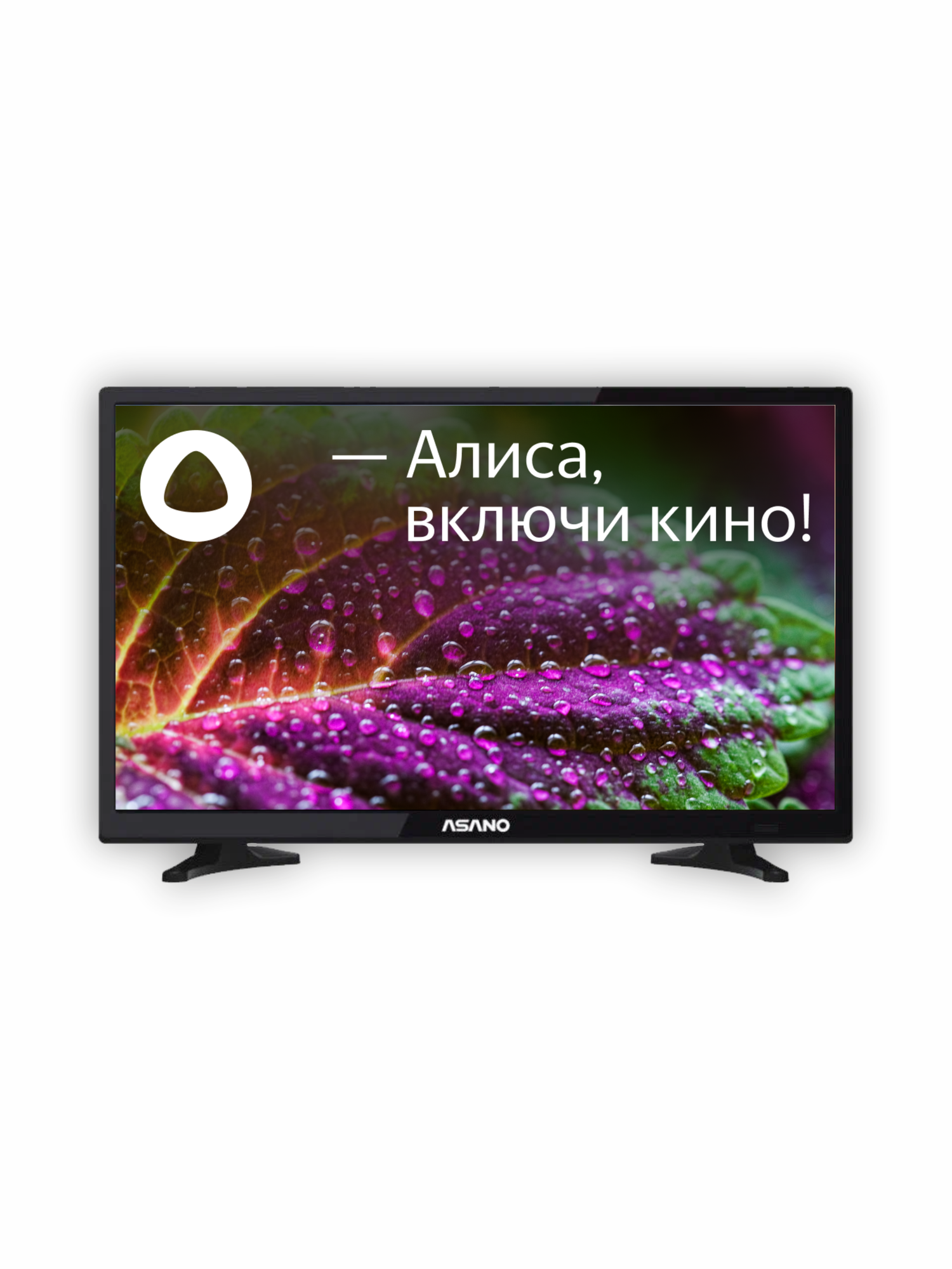 Телевизор смарт с Алисой 24" HD Asano 24LH8010T