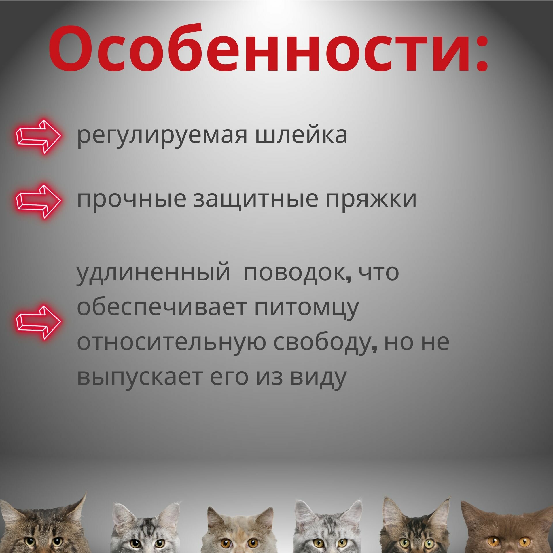 Шлейка для кошек с поводком, обхват шеи 20-30 см, обхват груди 30-42 см, ширина поводка 1 см, длина поводка 90-170 см, цвет красный, M-PETS - фотография № 2