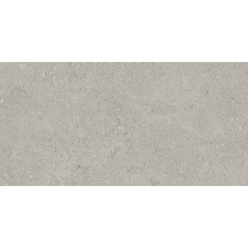 Керамогранит Estima NewPort Light Grey NP01 Непол. 30,6x60,9