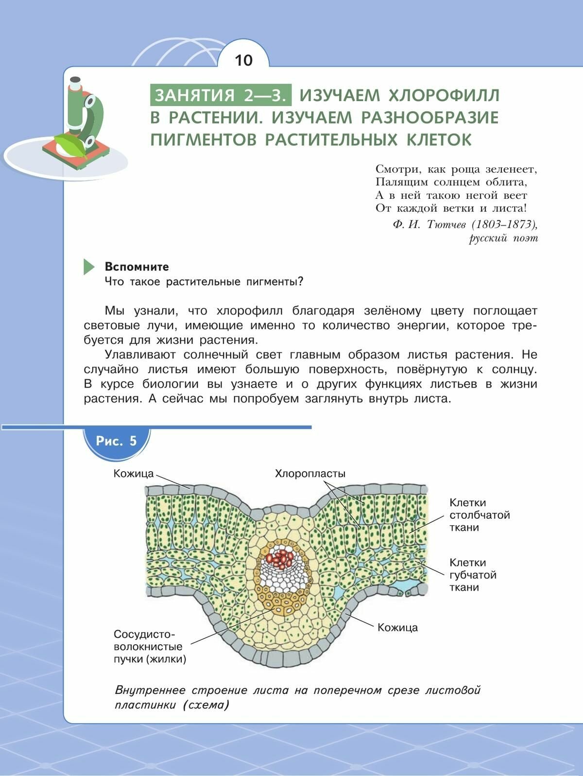 Естественно-научные предметы 6 класс Экологическая культура Учебник - фото №13