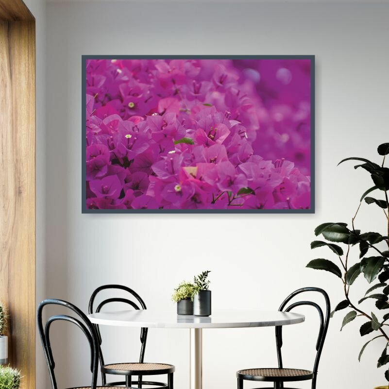 Постер для интерьера Цветущая Розовая Бугенвиллия 40х30 см в тубусе ПолиЦентр