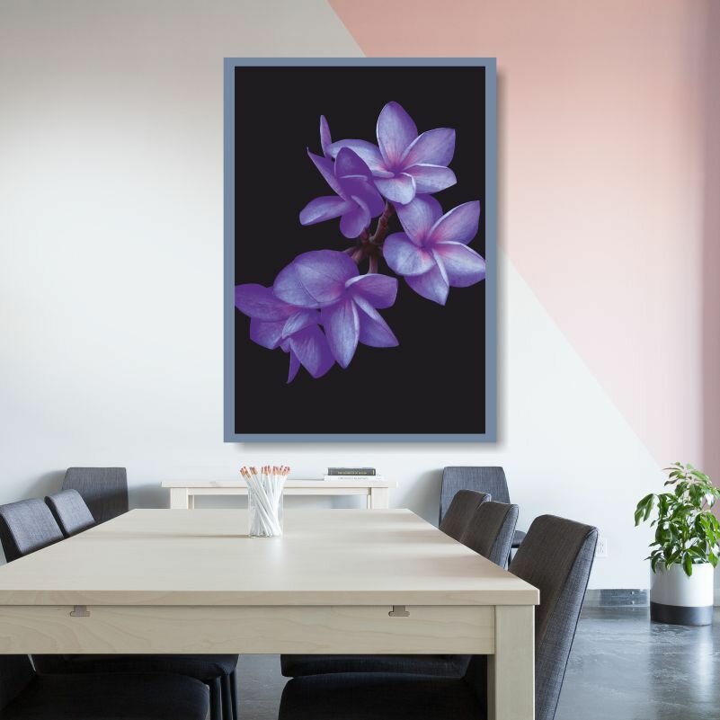 Постер для интерьера Фиолетовые Цветы Плюмерии 30х40 см в тубусе ПолиЦентр