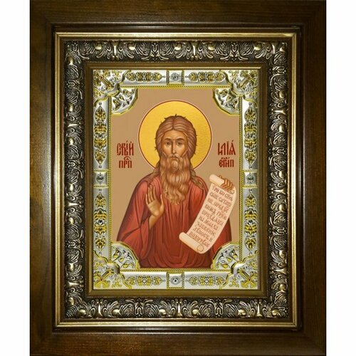 Икона Илия (Илья) Египетский, 18x24 см, со стразами, в деревянном киоте, арт вк-5706