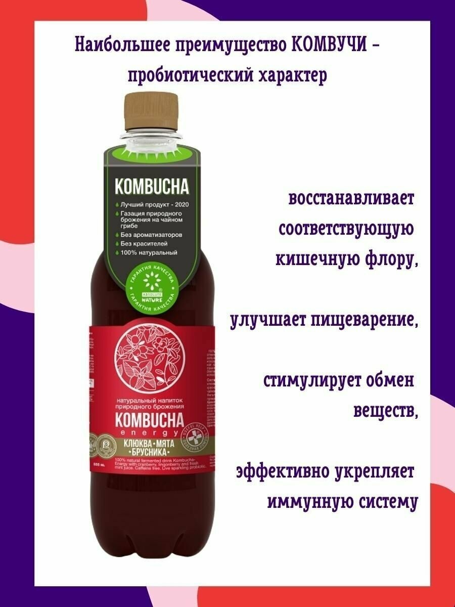 KOMBUCHA Напиток с соком ягод и мяты, 12шт/0.555л - фотография № 2