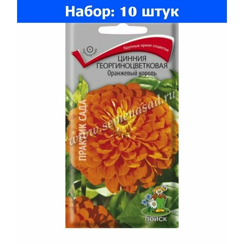 Цинния Оранжевый король георгиноцветковая 0,4г Одн 80см (Поиск) - 10 пачек семян