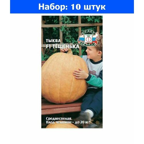 Тыква Тещенька F1 1г Ср (Седек) - 10 пачек семян