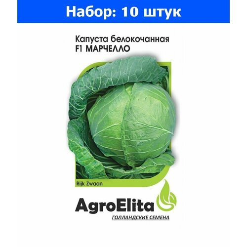 Капуста б/к Марчелло F1 15шт Ср (АгроЭлита) Голландия Райк Цваан - 10 пачек семян