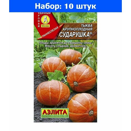Тыква Сударушка крупноплодная 1г Ранн (Аэлита) - 10 пачек семян