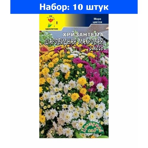 Хризантема Шаровидная махровая 0,04г Одн 45см (Цвет сад) - 10 пачек семян