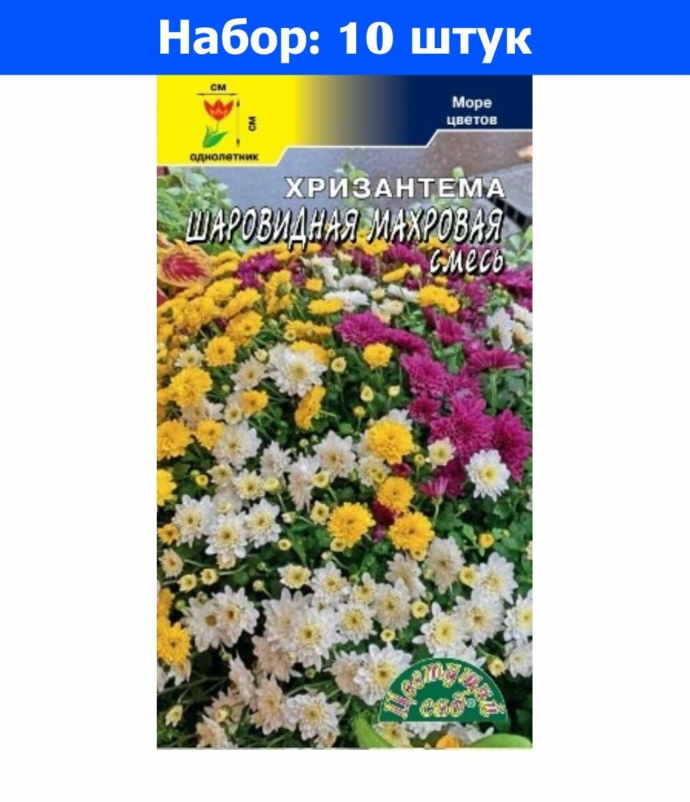 Хризантема Шаровидная махровая 004г Одн 45см (Цвет сад) - 10 пачек семян