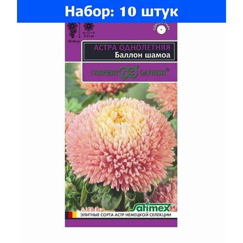 Астра Баллон Шамоа густомахровая 0,05г Одн 60см (Гавриш) Эксклюзив - 10 пачек семян