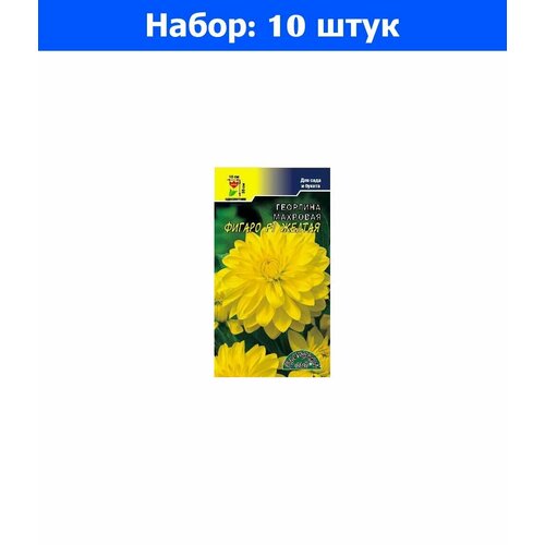 Георгина Фигаро F1 Желтая махровая 0.05г Одн 35см (Цвет сад) - 10 пачек семян