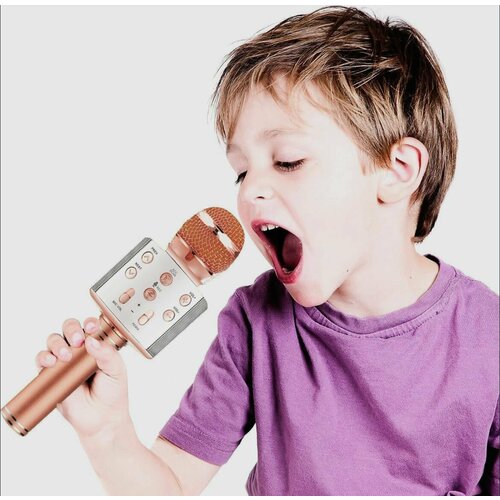 Микрофон универсальный для караоке 127400₽