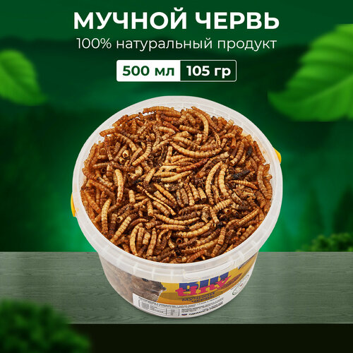 Корм Big Tiny "Мучной Червь", для грызунов, насекомых, птиц,105 г/ Корм для крыс, хорьков, хомяков, ежей и ящериц