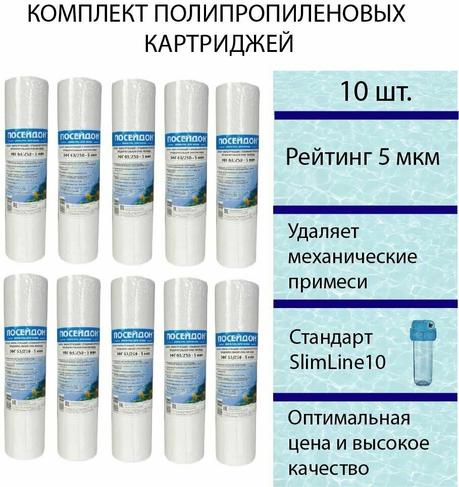 Элемент фильтрующий полипропиленовый Посейдон ЭФГ 63/250 - 5 мкм - 10 шт