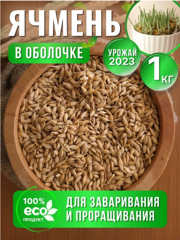 Ячмень для проращивания 1 кг. Эко продукт Краснодарского края - фотография № 1