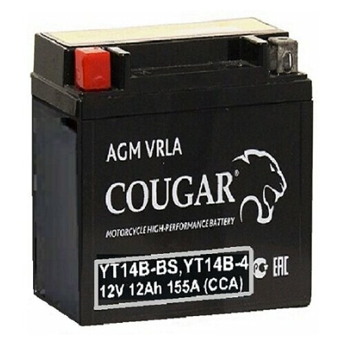 Аккумулятор для мотоцикла и скутера Cougar AGM VRLA 12V 12 А/ч 155 А прям. пол. залит/заряжен YT14B-BS, YT14B-4 (150х70х145)