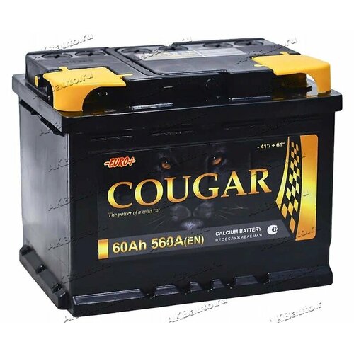 Аккумулятор автомобильный Cougar Power 60 А/ч 560 A обр. пол. Евро авто (242x175x190)