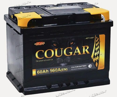 Изображение товара Аккумулятор автомобильный Cougar Power 60 А/ч 560 A обр. пол. Евро авто (242x175x190)