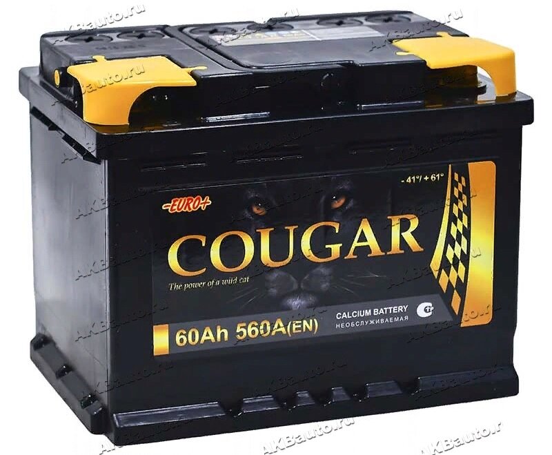 Аккумулятор автомобильный Cougar Power 60 А/ч 560 A обр. пол. Евро авто (242x175x190)