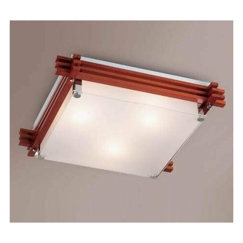 Настенно-потолочный светильник Sonex Trial 3241