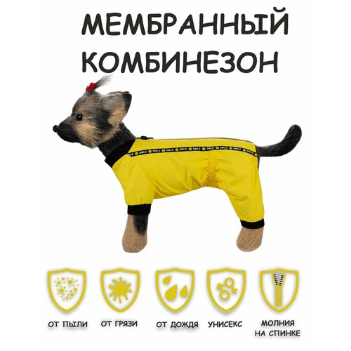 Дождевик для собак DOGMODA Мартин (желтый) унисекс , р. 3, 28см