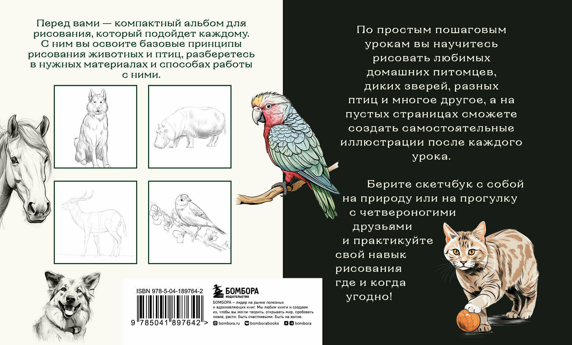 Скетчбук по рисованию животных. Простые пошаговые уроки по созданию любимых питомцев - фото №2