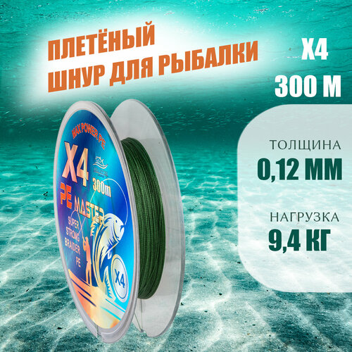 фото Плетёный шнур pe master 300m 0.12мм asianfish