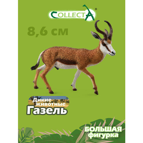 Фигурка Collecta Газель 88684, 6.8 см булавы фигурка газель томсона trefl