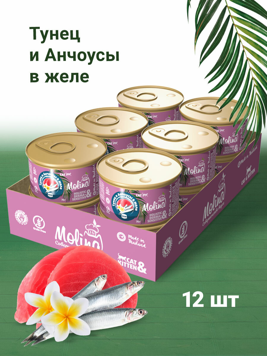 Консервы для кошек Molina, тунец и анчоусы в желе, 12 шт. х 70 г