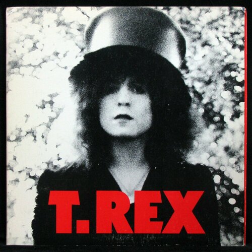 Виниловая пластинка Reprise T.Rex – Slider (+ poster)