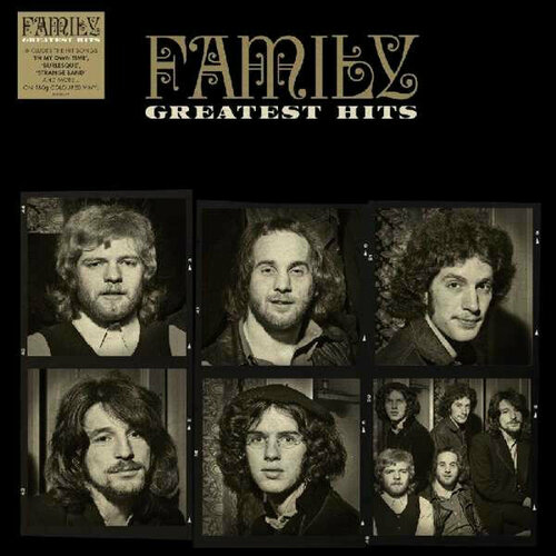 Family Виниловая пластинка Family Greatest Hits виниловая пластинка queen greatest hits 0602557048414