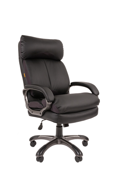 Кресло Офисное кресло Chairman 505 экопремиум черный (черный пластик) (7127995)