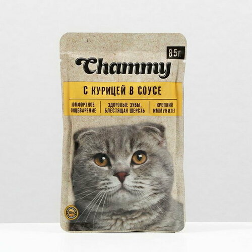 Влажный корм для кошек, курица, кусочки в соусе, пауч, 85 г, 25 шт.