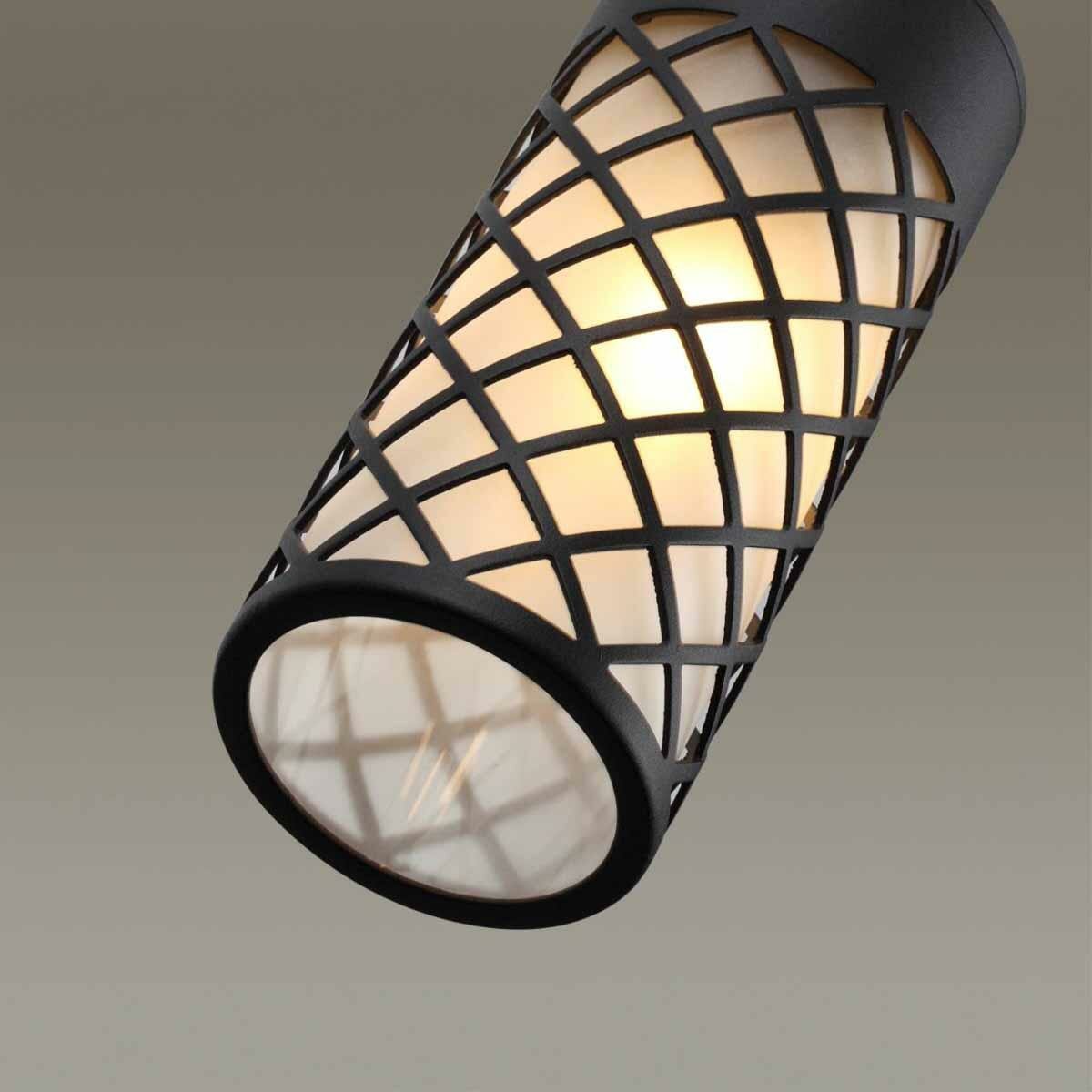 Ландшафтный настенный светильник DUNES NATURE черный/стекло E27 60W Odeon light - фото №5