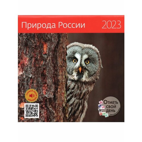 Календарь настенный 290 х 290 мм. Природа России. 2023 год (с наклейками). Отметь свой день